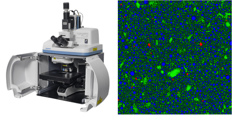 The XploRA PLUS Confocal Raman Microscope and Confocal Raman image of a pharmaceutical emulsion.