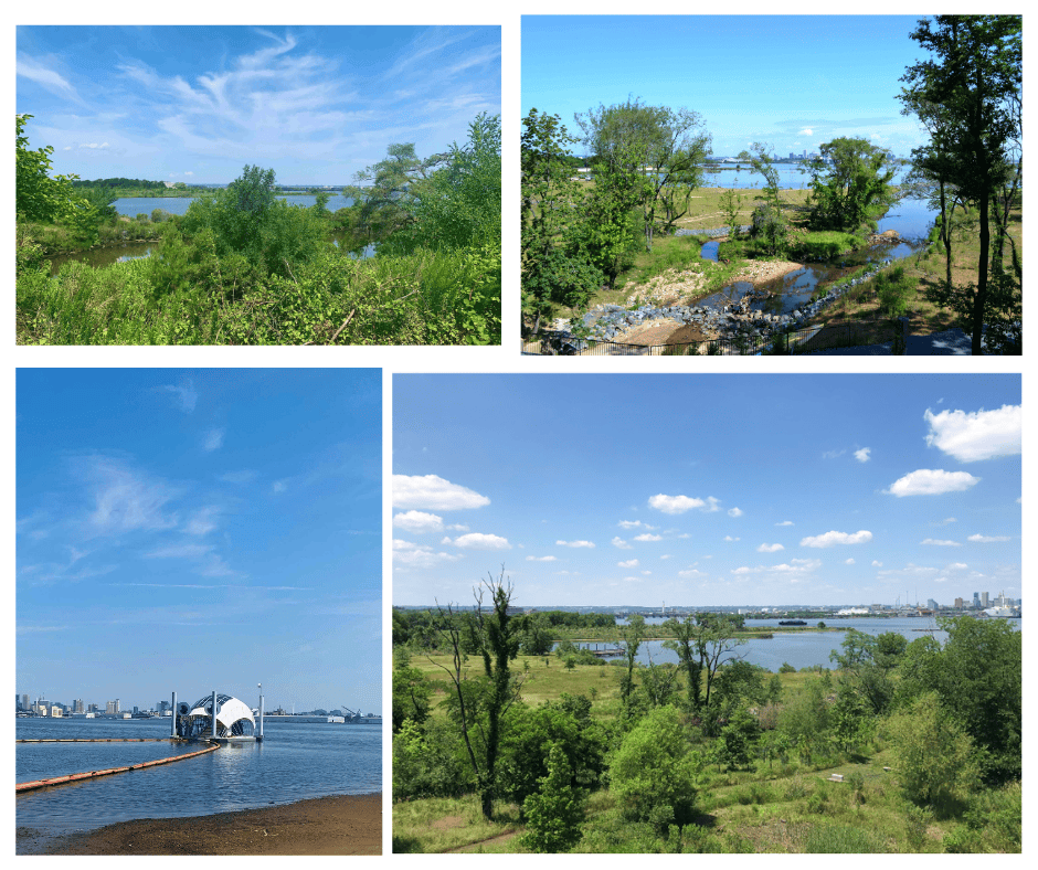 Baltimore's Coastal Blue-Green Spaces