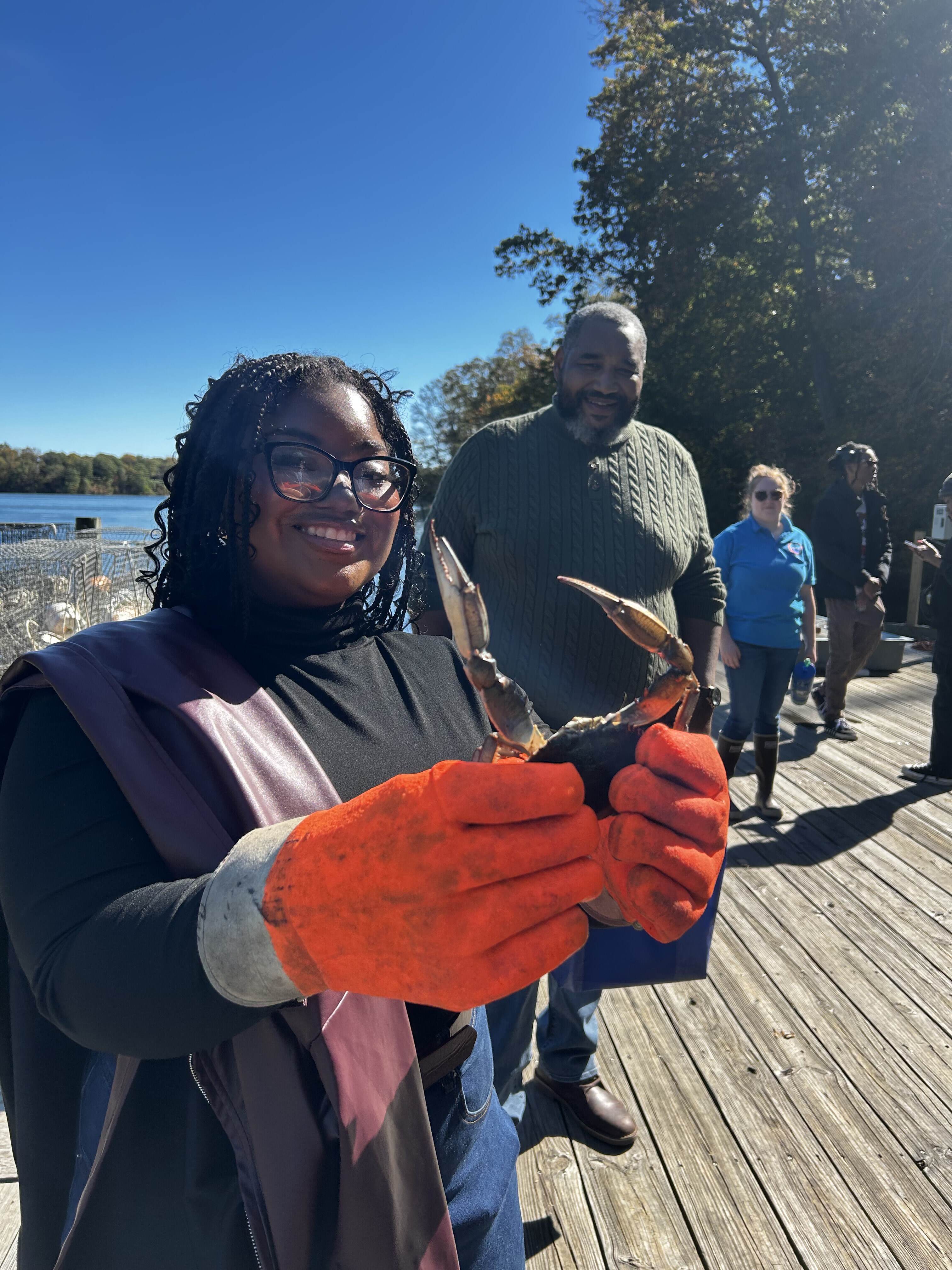 insert description here