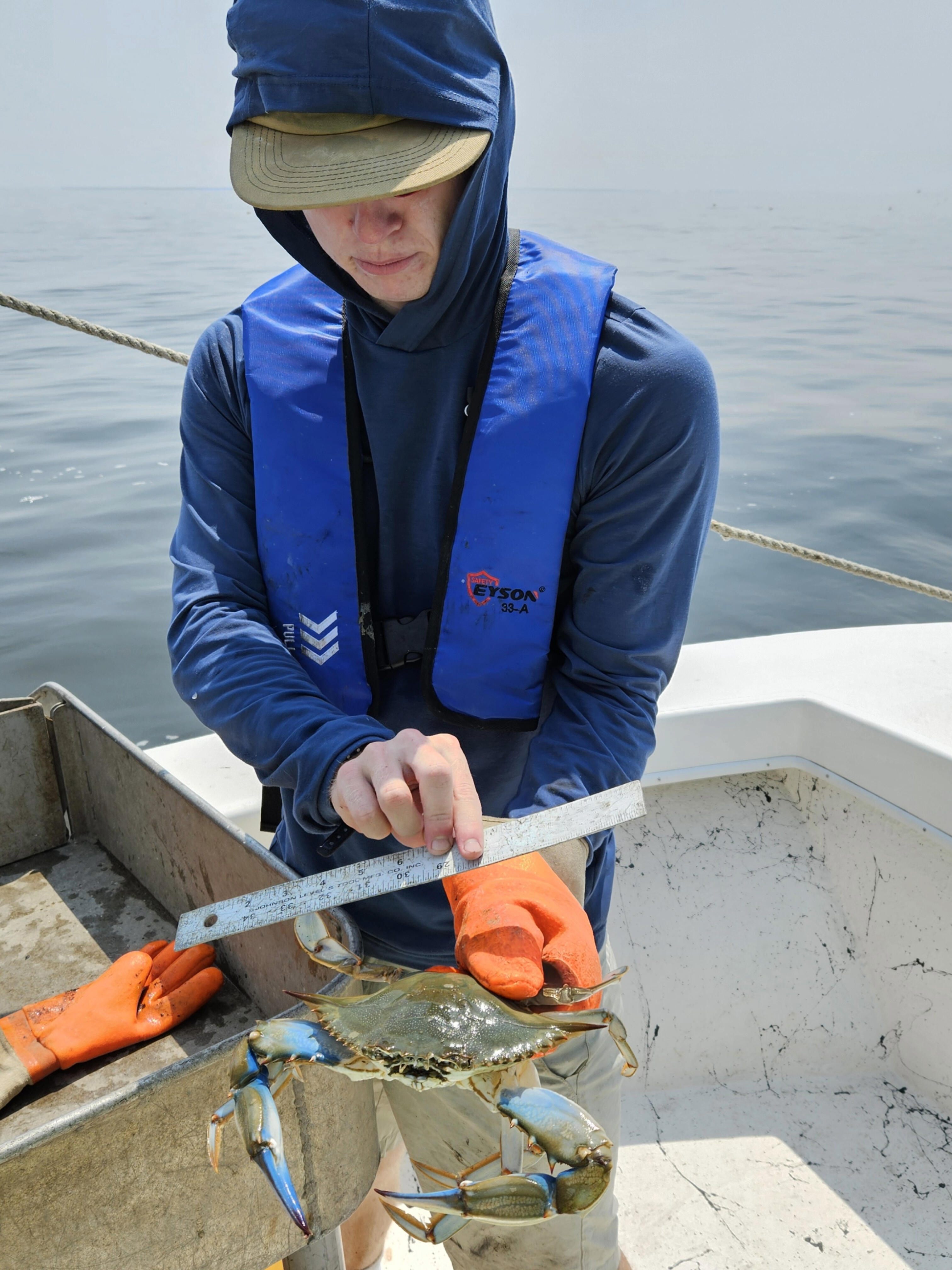 insert description here