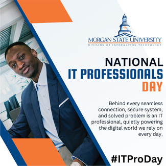 National IT Professionals Day