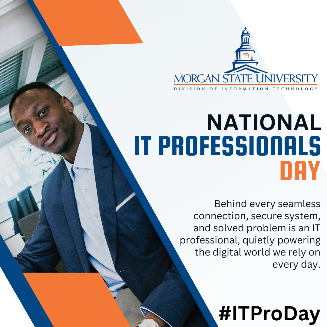 National IT Professionals Day