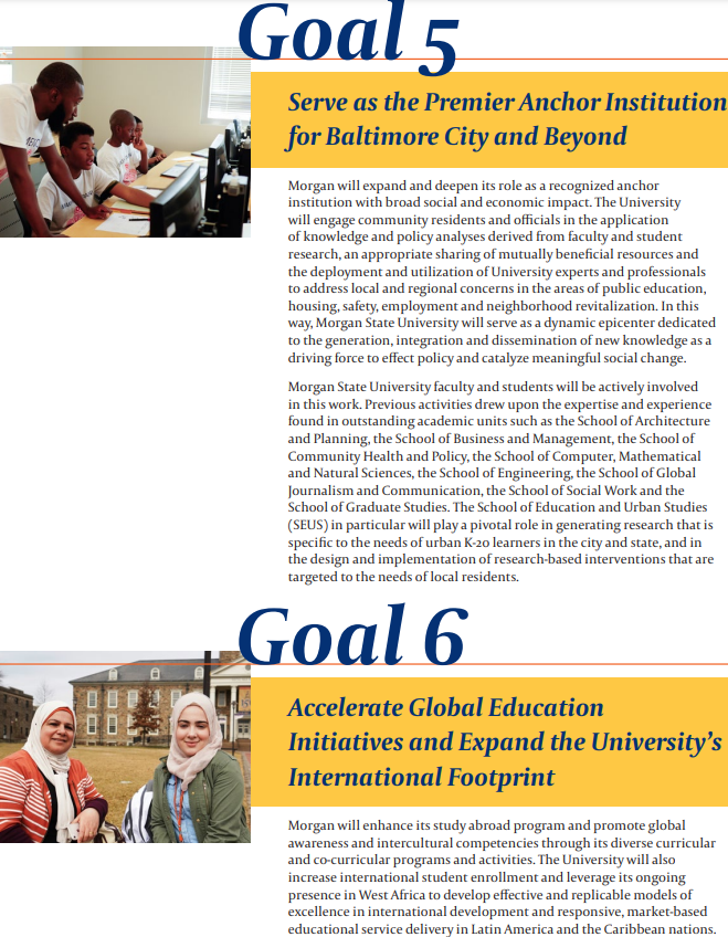 strategic goals 5 and 6