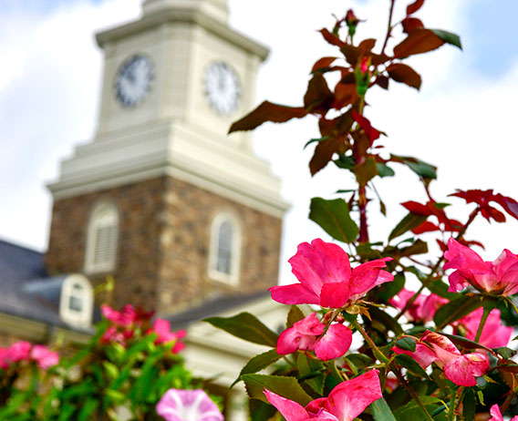 flowers with clock tower in the back