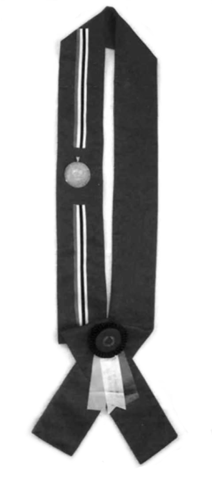 The Dr. Sandye Jean McIntyre, II International Award