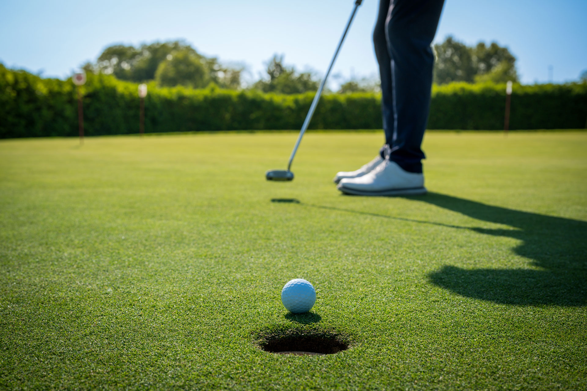 Stock image of a golfer putting ball into hole.