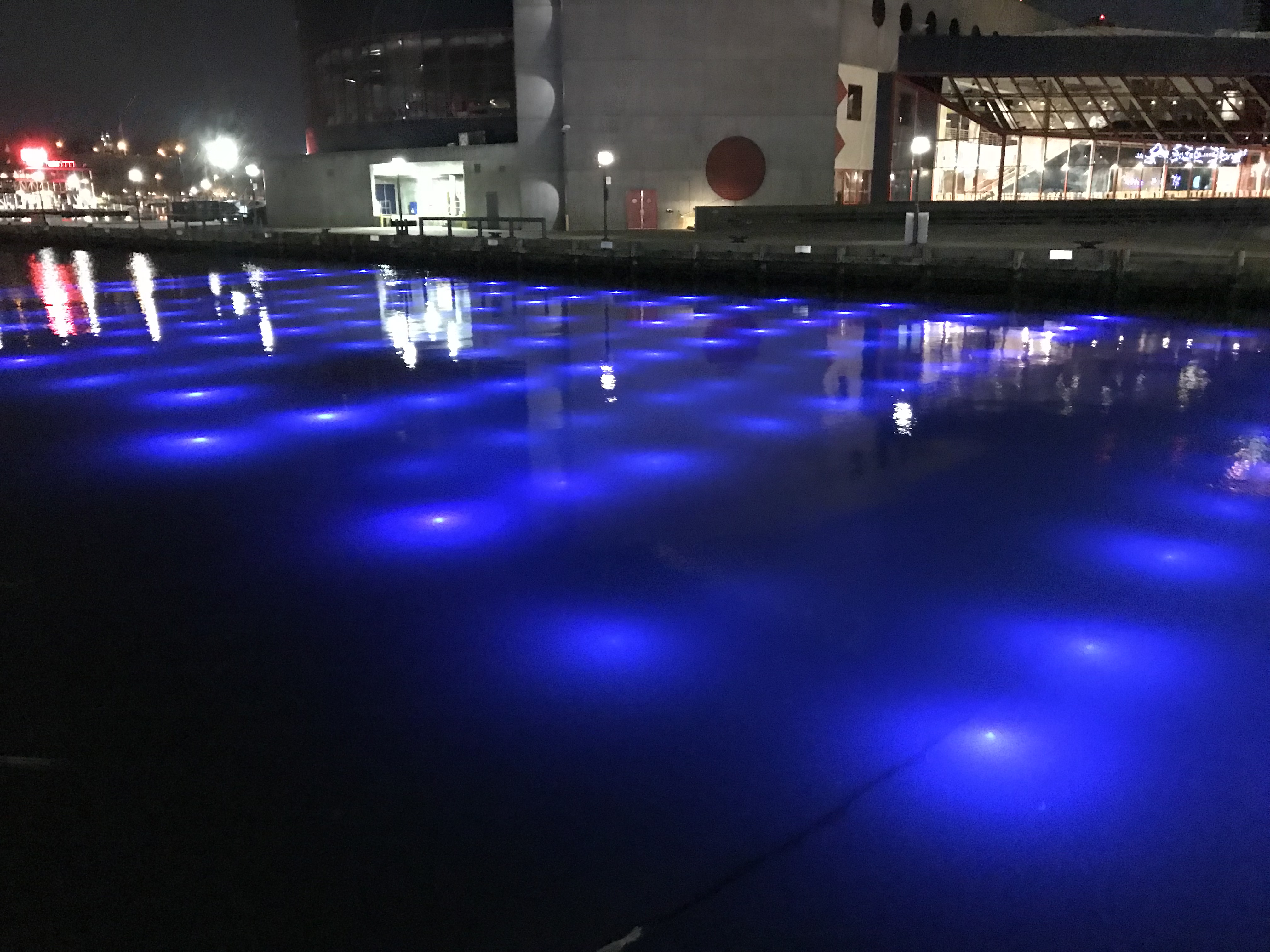 Light City - Pavlina