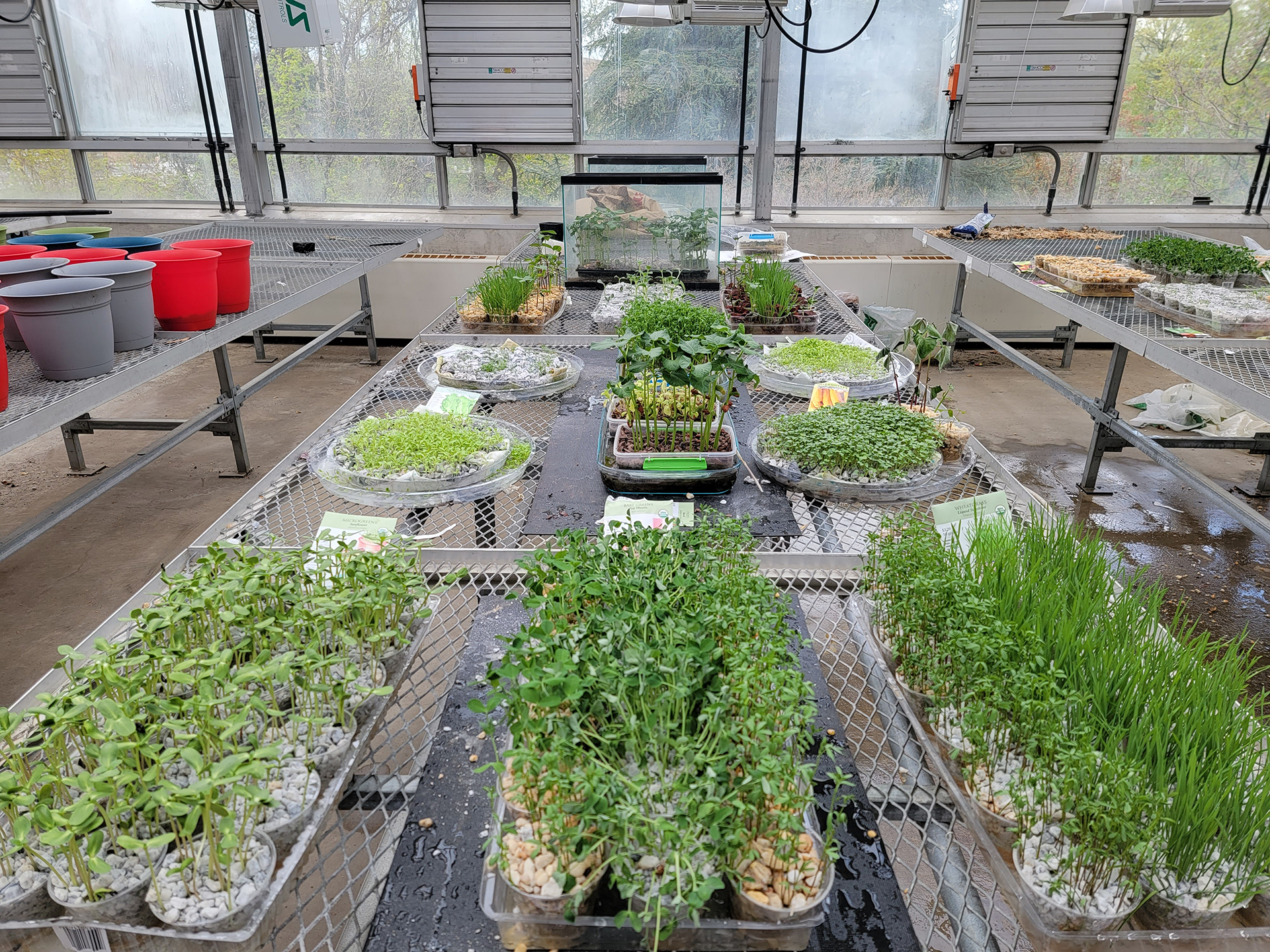 Keep Foundation Grant