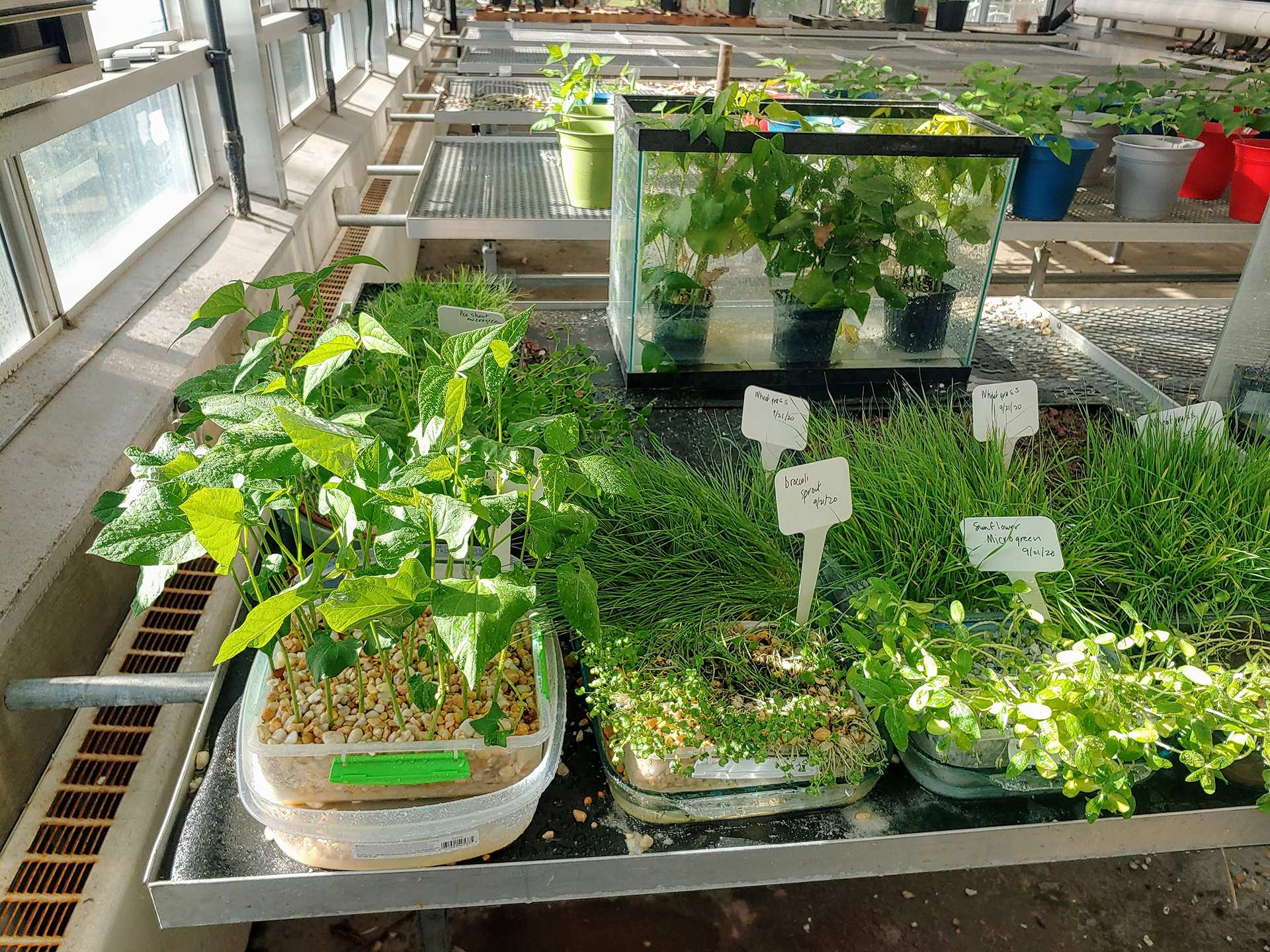 Keep Foundation Grant