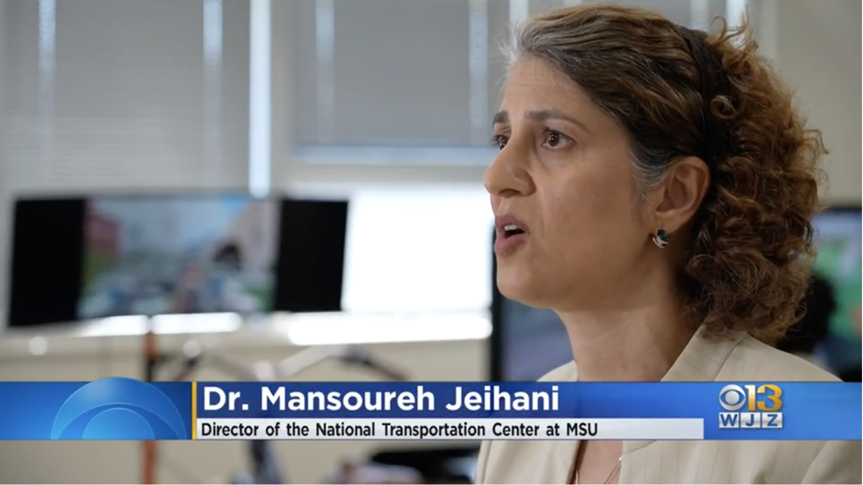 Dr. Mansoureh Jeihani